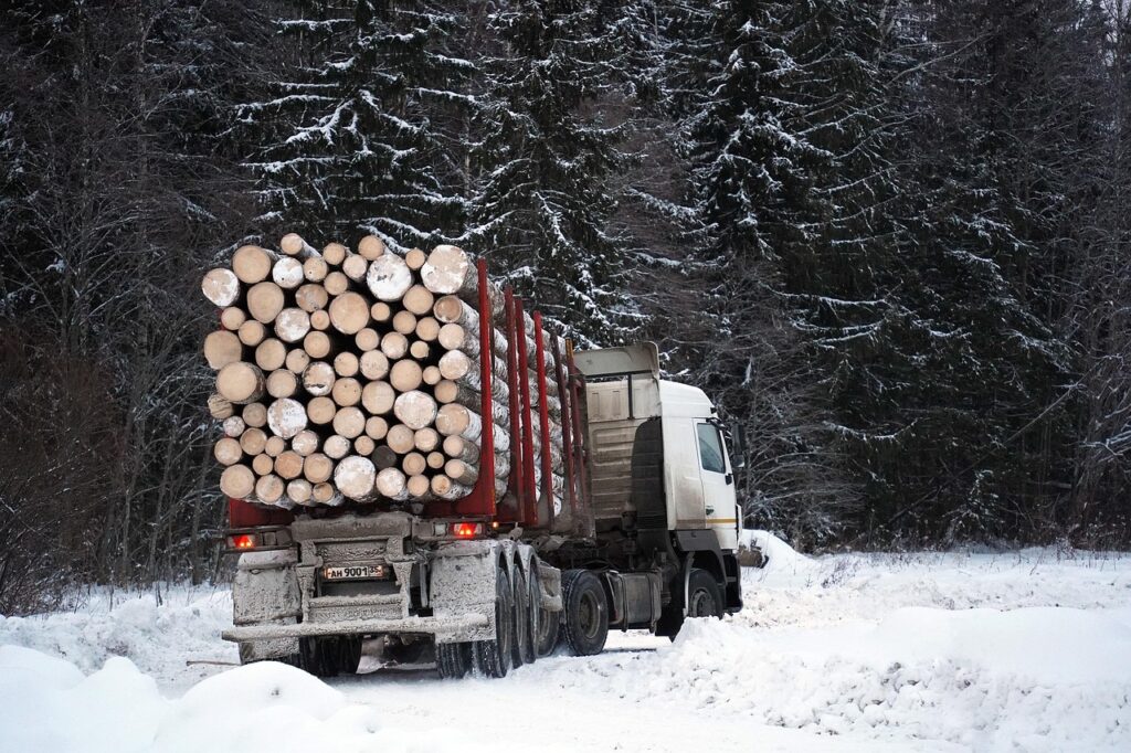 Arrière d'un camion transportant du bois dans la neige